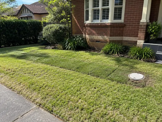 Reinstated lawn over a sewer repair with a flush access cover beside a brick house in Wahroonga